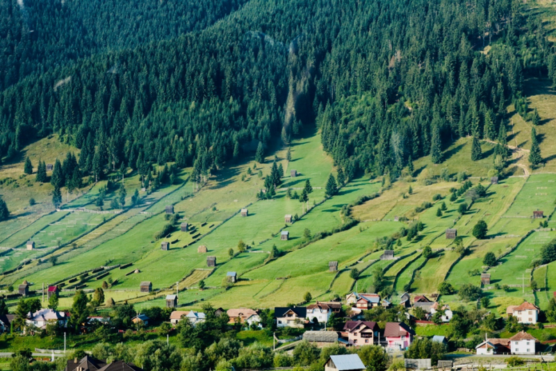 Are we thinking rural enough? - Here & Now